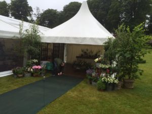 Miss Jahya Chelsea Mvemba Pagodas  